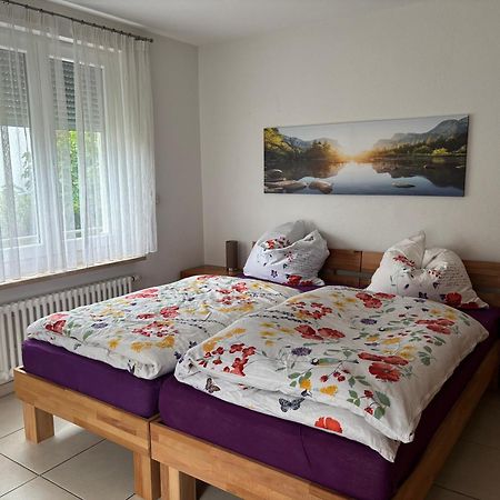 Klettgauperle - Familien- Und Behindertengerechte Ferienwohnung Griessen Екстериор снимка