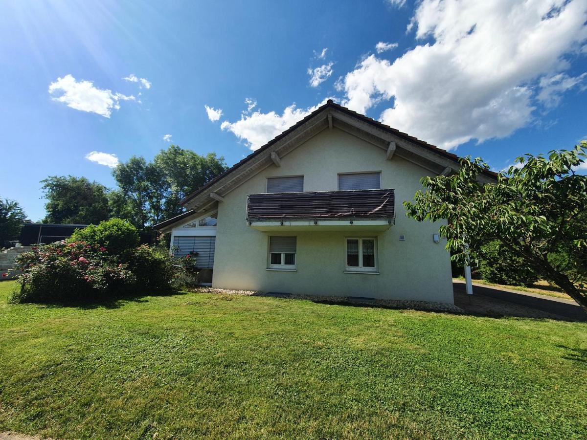 Klettgauperle - Familien- Und Behindertengerechte Ferienwohnung Griessen Екстериор снимка